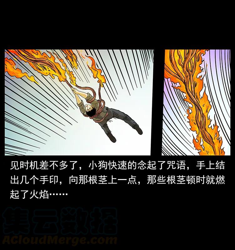 236 神秘的小岛68