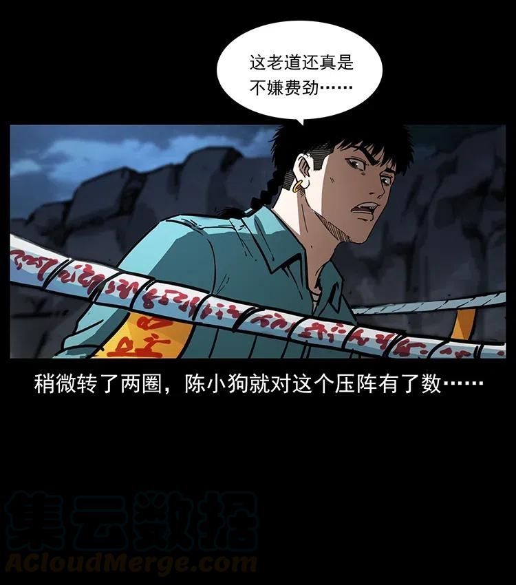 370 乌翅凤凰27