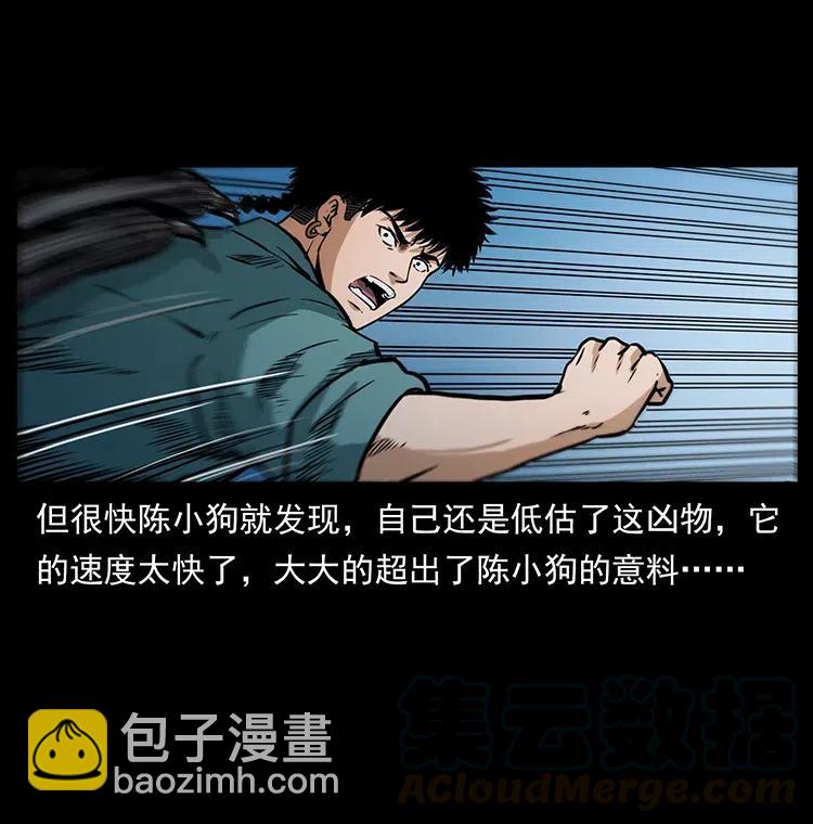 342 白毛僵尸40