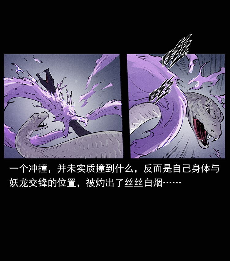 外传 洛生传8 封毒4
