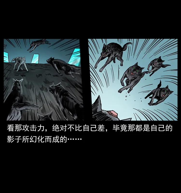 251 刨尸狗遇险85