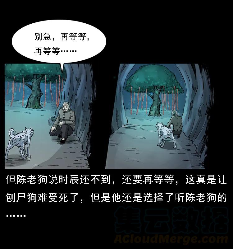 082 鬼桃树56