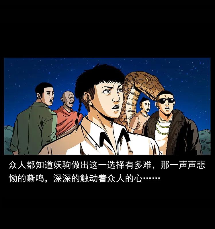 158 妖驹的选择89