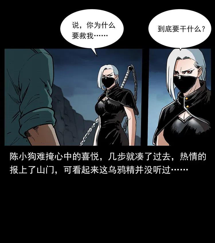 370 乌翅凤凰55
