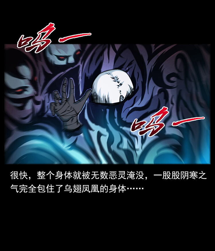 484 极地鸦族66