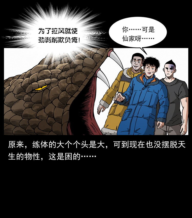 480 萨满来了！29