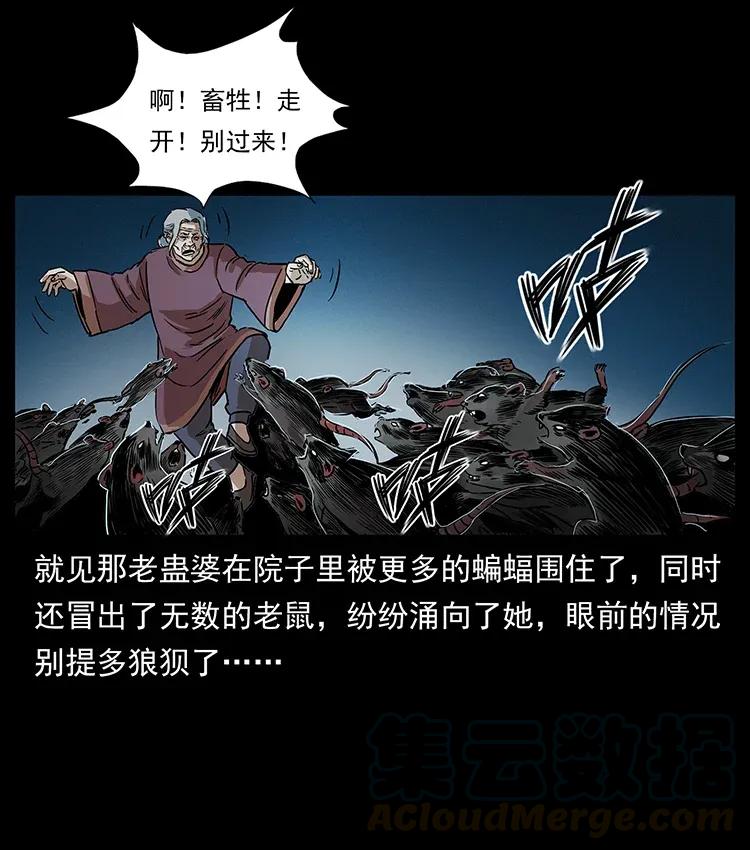 298 让人头大的落花洞女16