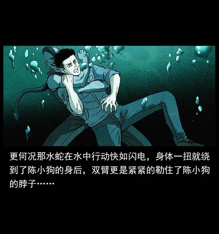 285 水蛟一族17