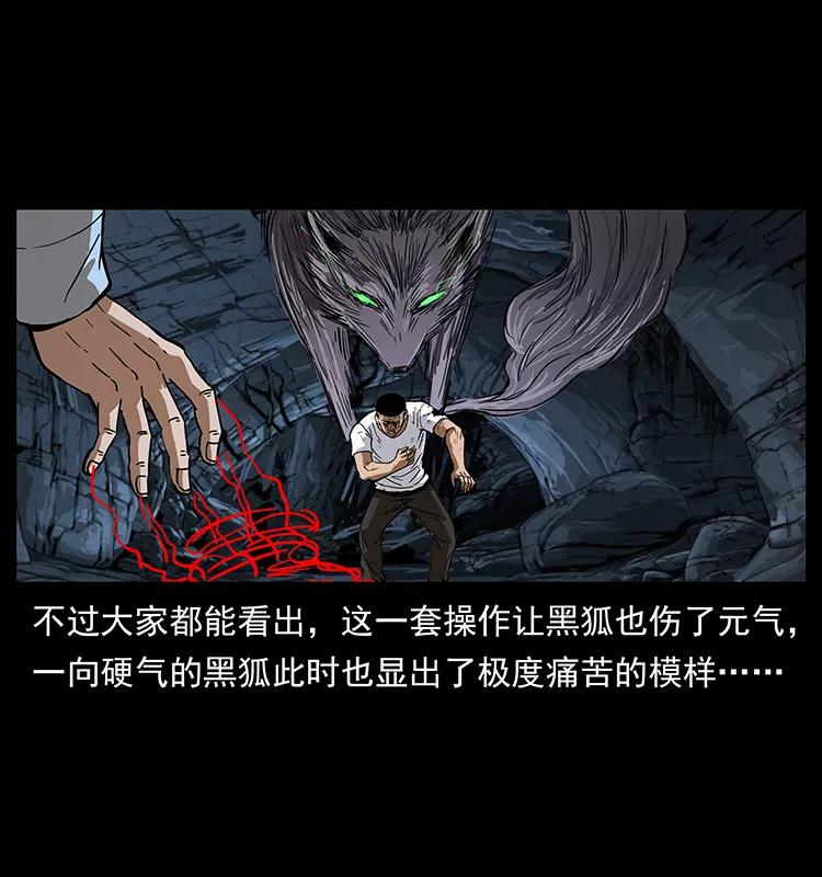 199 黑狐不好惹41