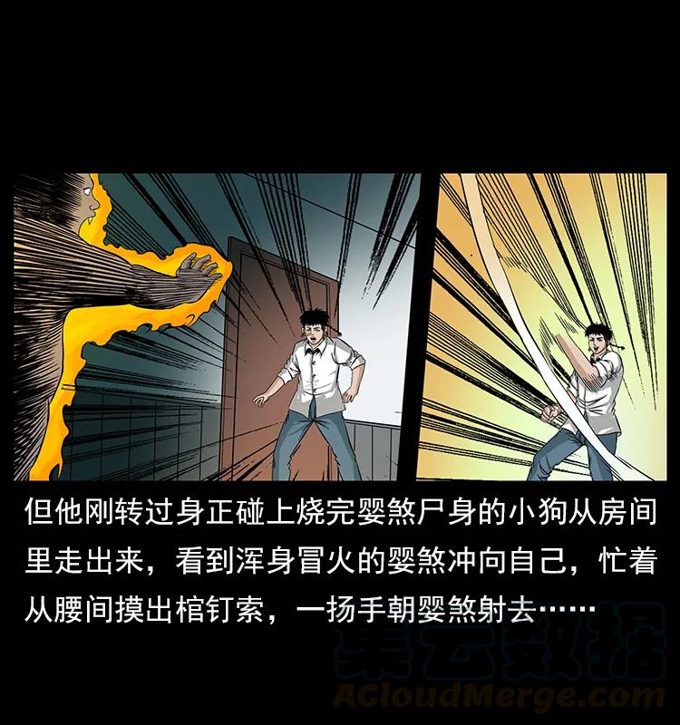 113 胎煞80