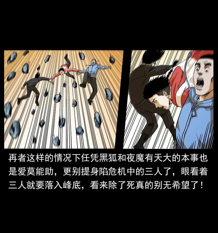 220 漠北白狼王29