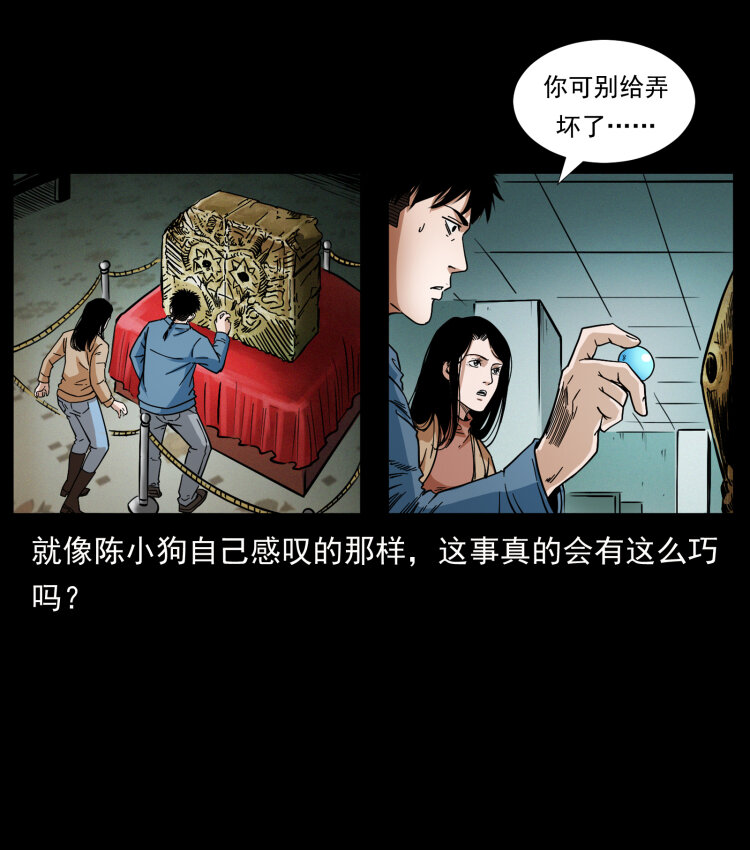 419 马先生的博物馆55