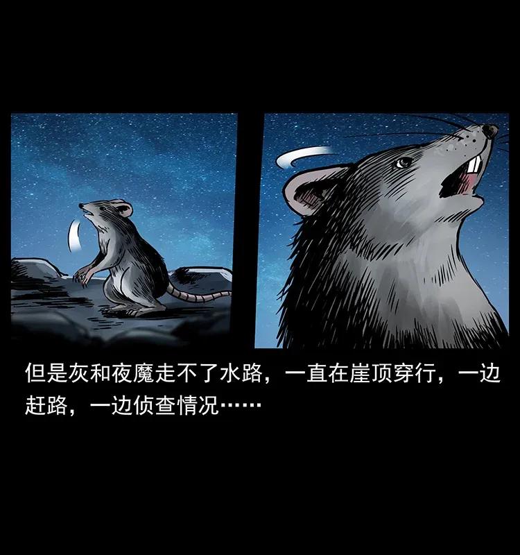 280 西域食尸鬼2