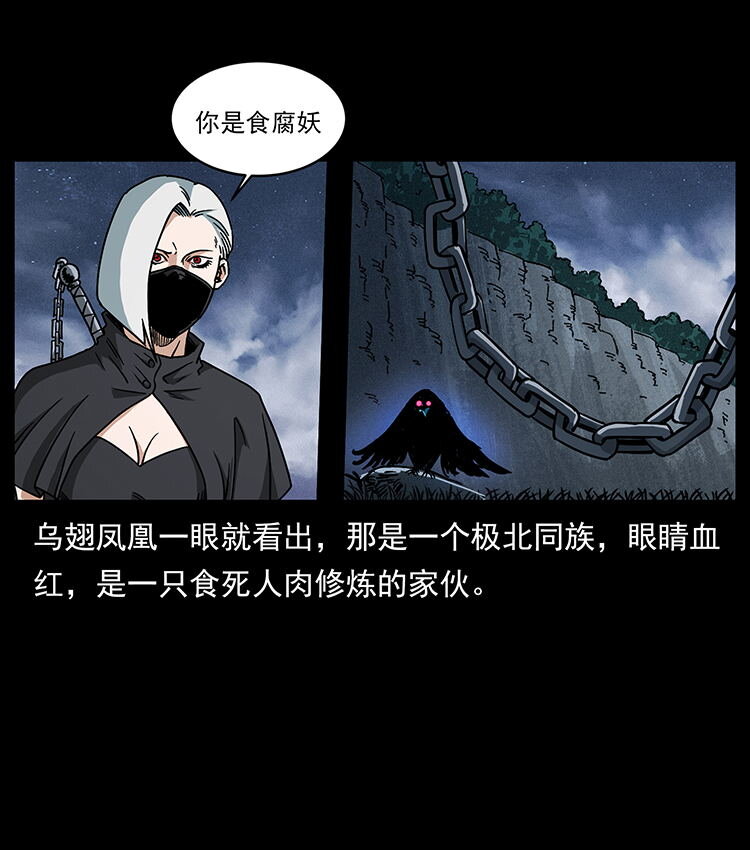 484 极地鸦族22