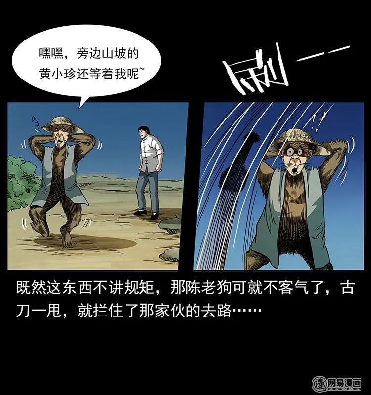 141 进山43