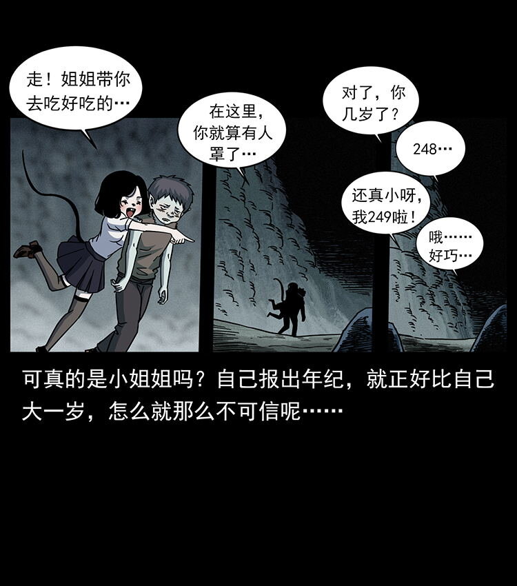 482 以树为启点55