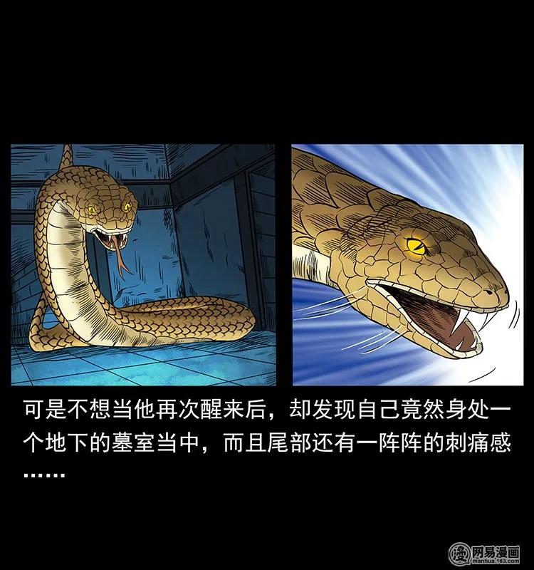 139 巨兽凶蟒61