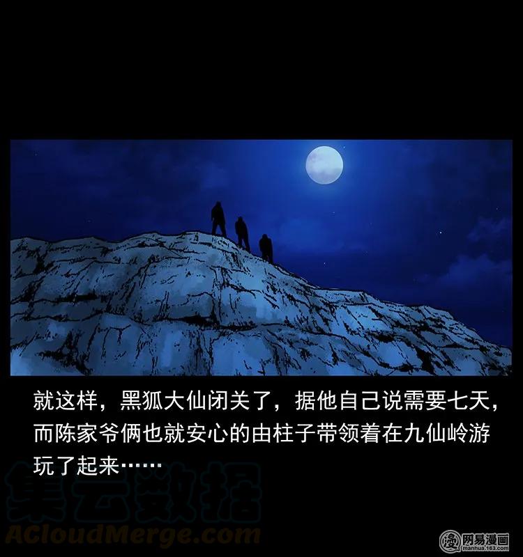 143 出马黑狐52