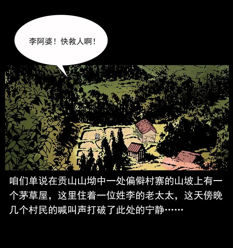 160 李老太太34