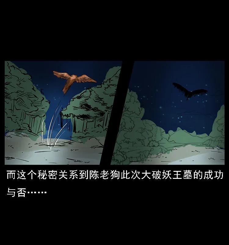 088 勾魂鸟夜枭91