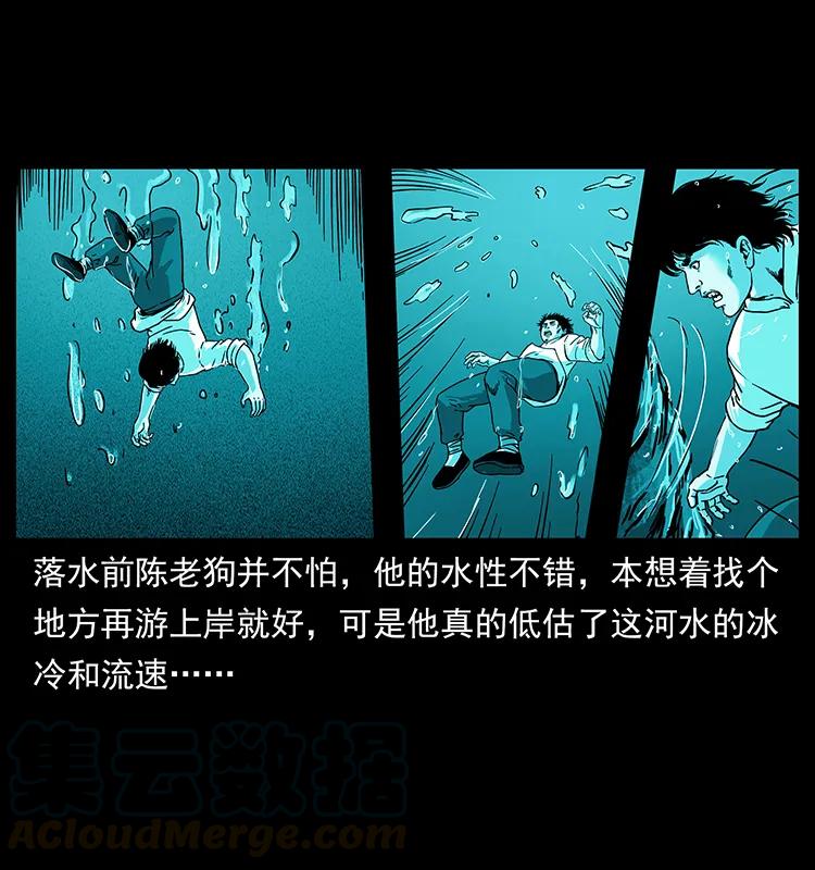 231 东海木龙44