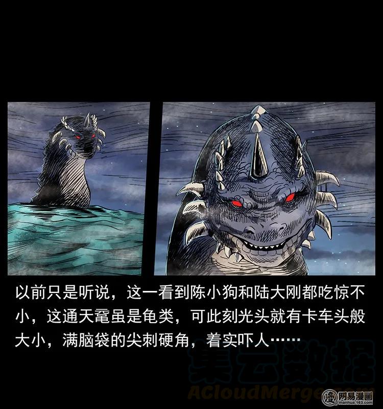 129 通天鼋76