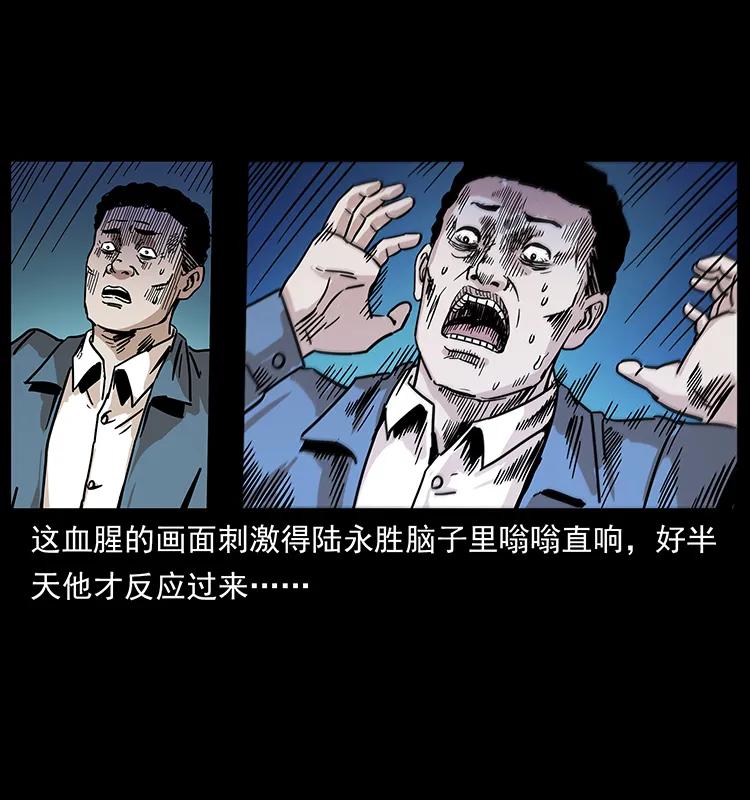230 生桩31