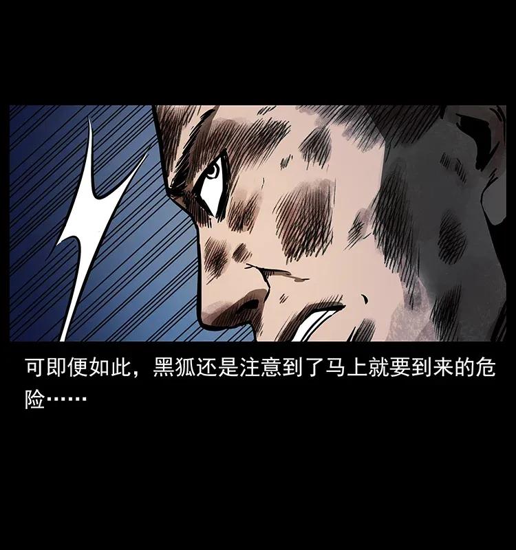 278 黑狐的危机！81