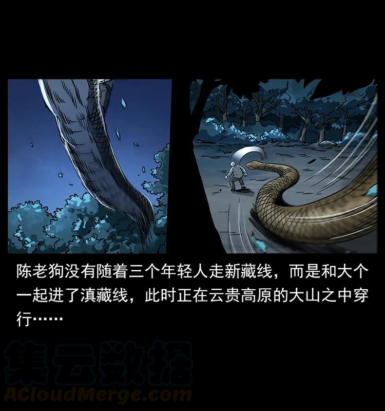 262 藏地神族48