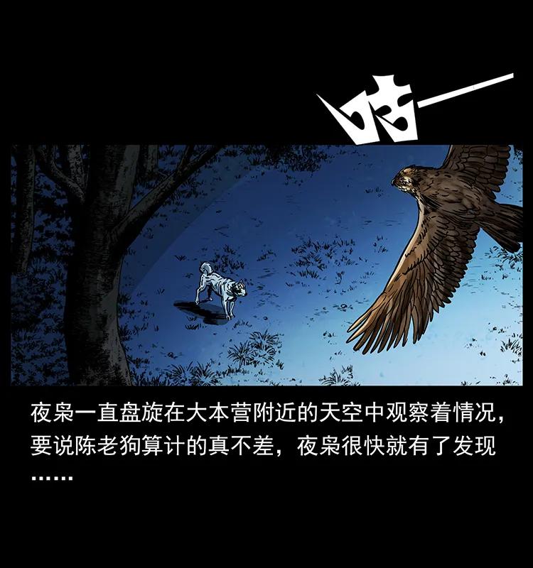 170 布局53