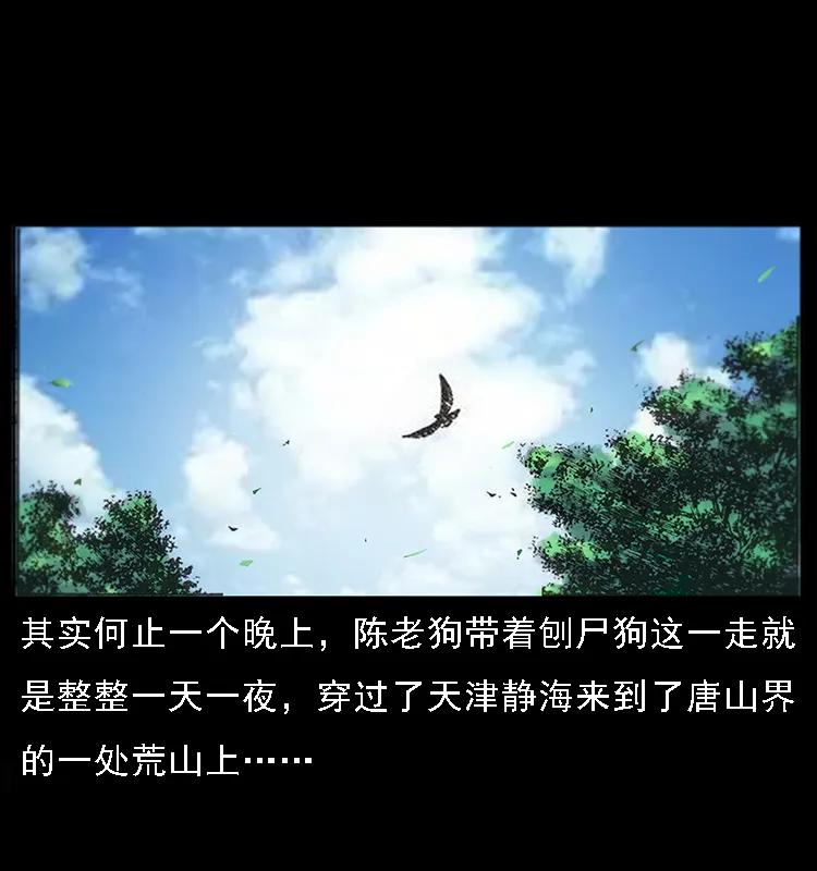 082 鬼桃树13