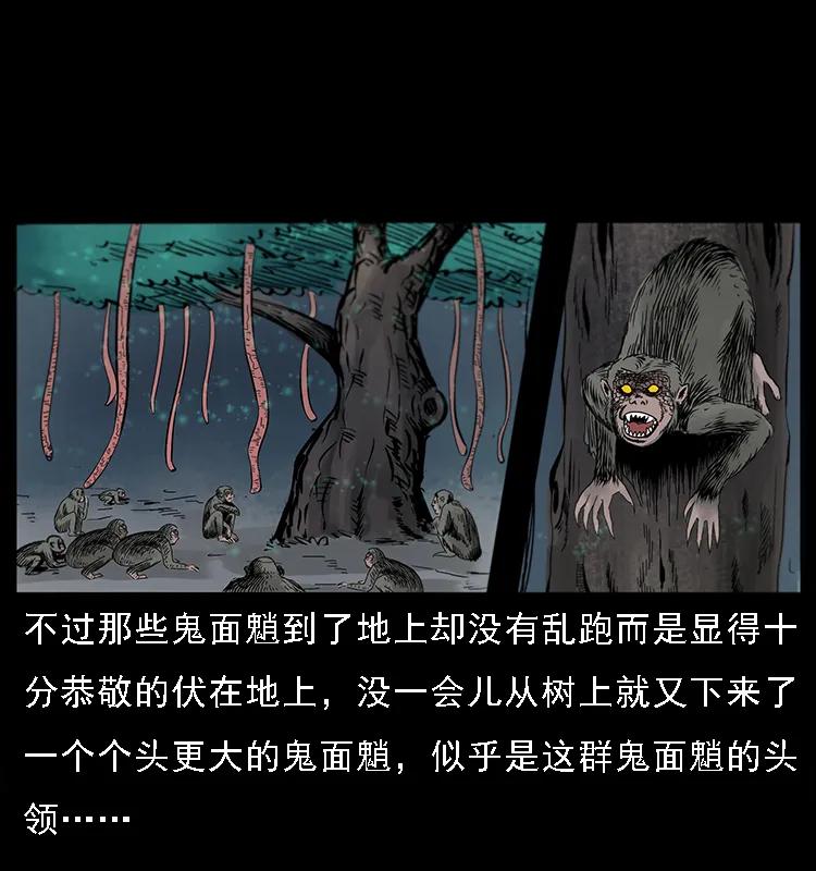 082 鬼桃树34