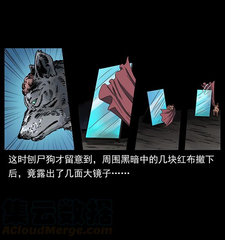 251 刨尸狗遇险72