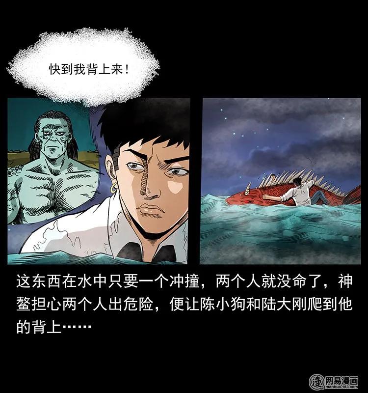 129 通天鼋77