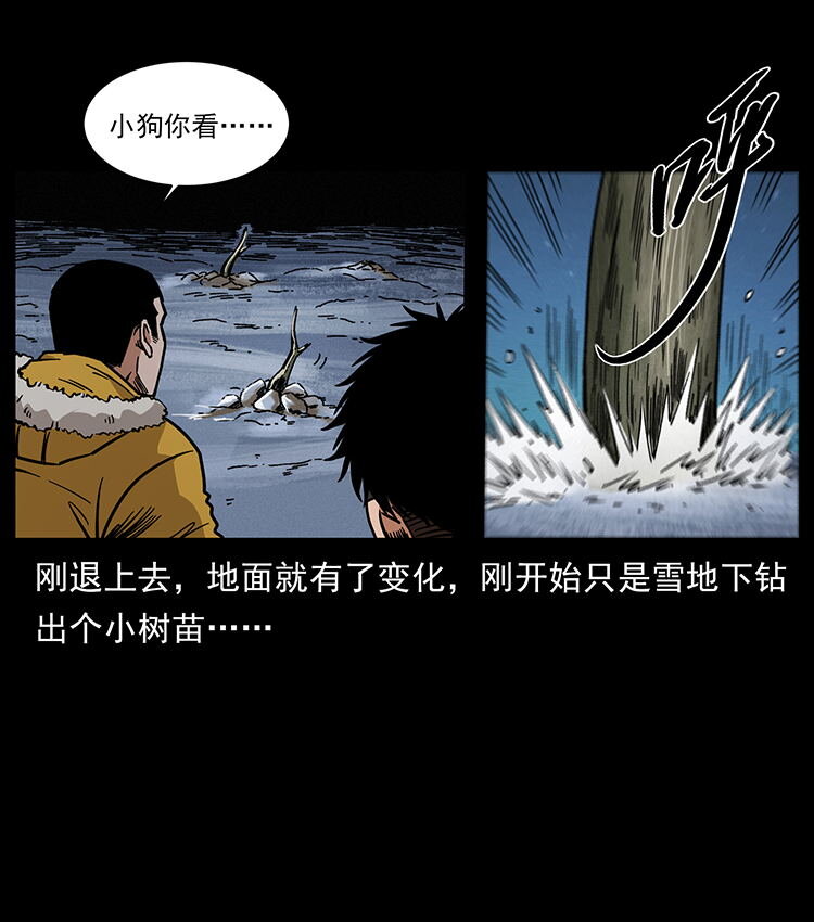 480 萨满来了！13