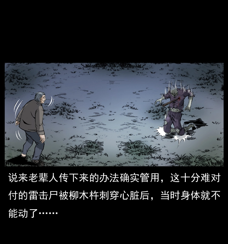 041 雷击尸265