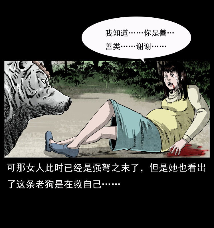 050 刨尸狗传奇343