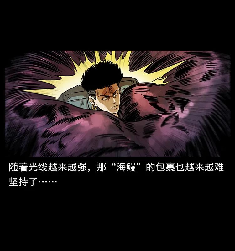 242 陈小狗失算了43