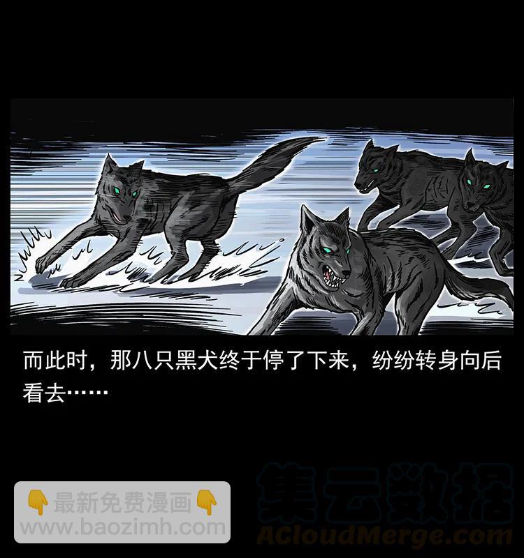 252 危机！危机16