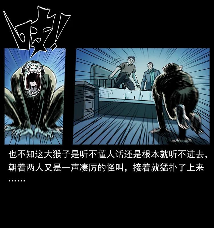 228 凶兽71