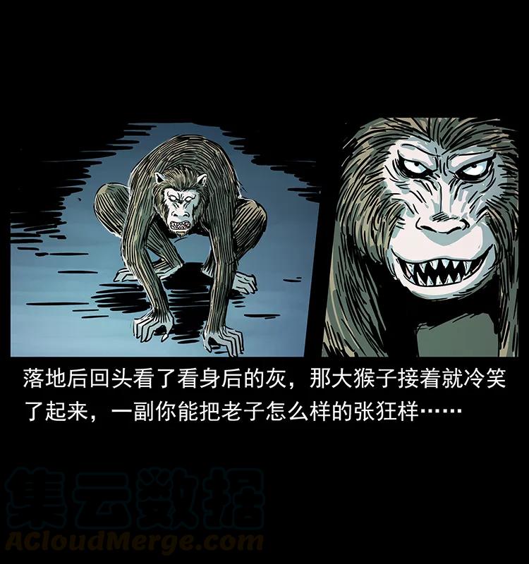 228 凶兽88