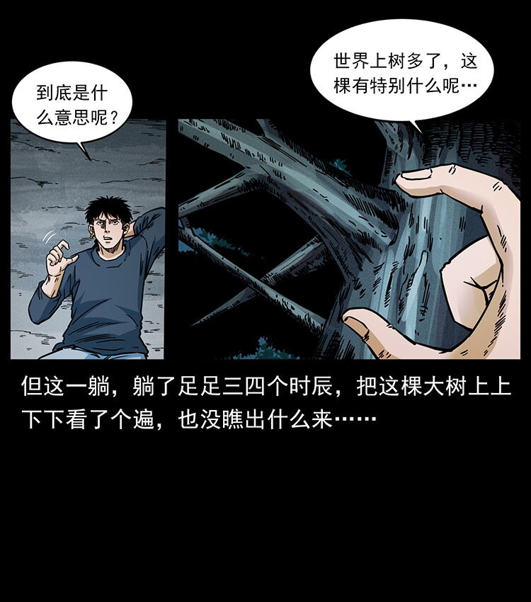 481 树36