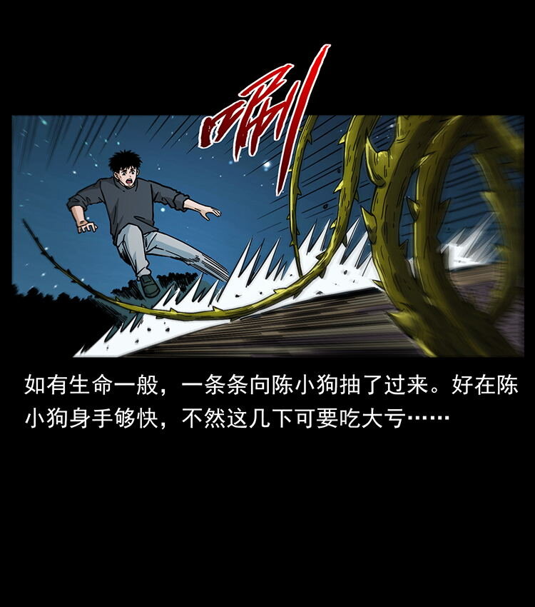 481 树56