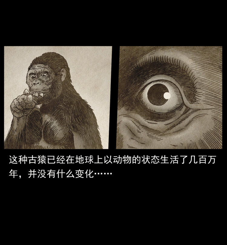 460 你才是猴子变的！26