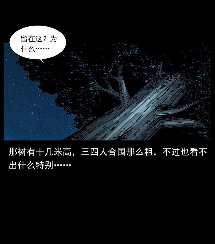 481 树17