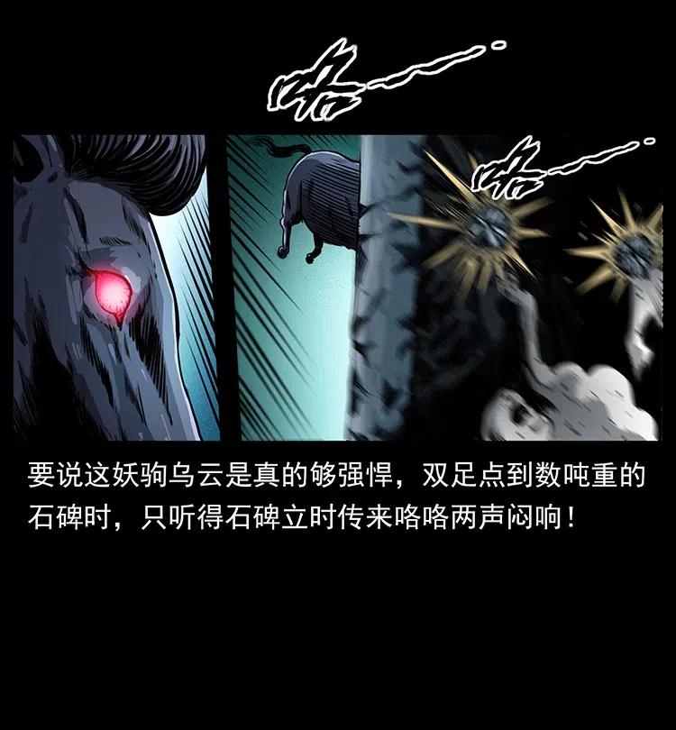 370 乌翅凤凰41