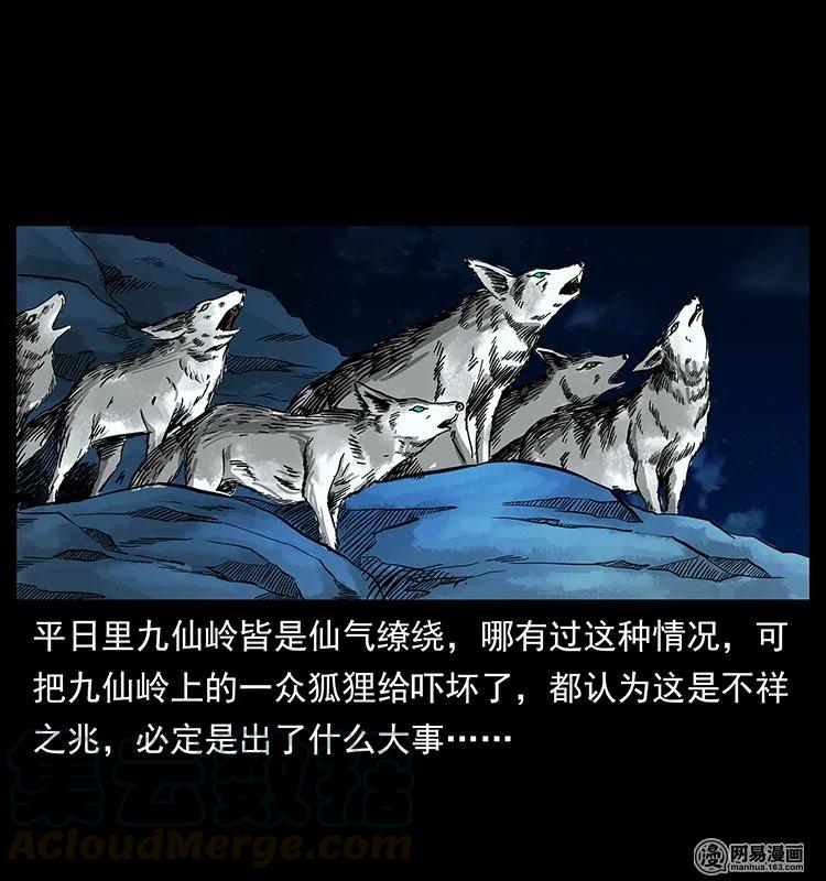 142 黑狐16