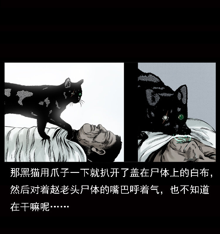 002 诈尸11