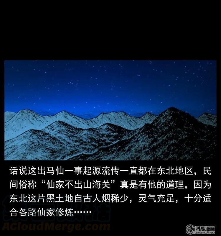 142 黑狐12