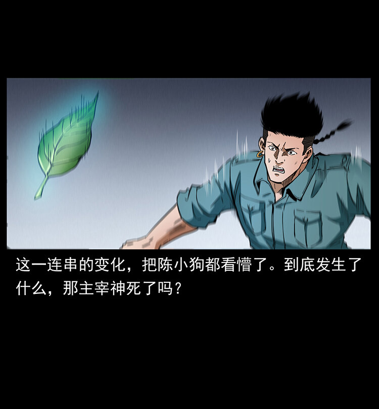 400 一花一世界，一叶一菩提76